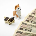 犬や猫を飼うと年間いくらかかる？飼育費用を徹底解説