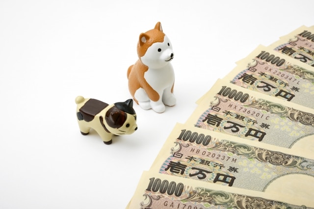 犬や猫を飼うと年間いくらかかる？飼育費用を徹底解説
